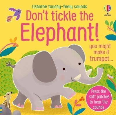 Don't Tickle the Elephant! - Sam Taplin - Livros - Usborne Publishing, Limited - 9781805070238 - 28 de novembro de 2023