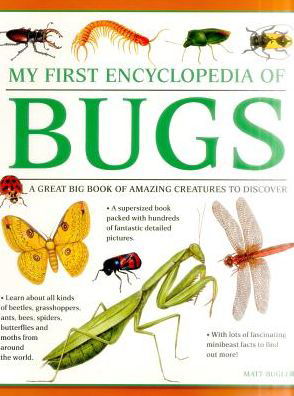 Cover for Bugler Matt · My First Encyclopedia of Bugs (giant Size) (Pocketbok) (2016)