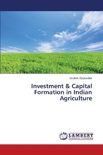 Cover for Vaidehi Daptardar · Investment &amp; Capital Formation in Indian Agriculture (Paperback Book) (2013)