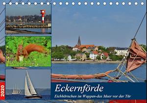 Cover for Schaack · Eckernförde. Eichhörnchen im Wa (Book)