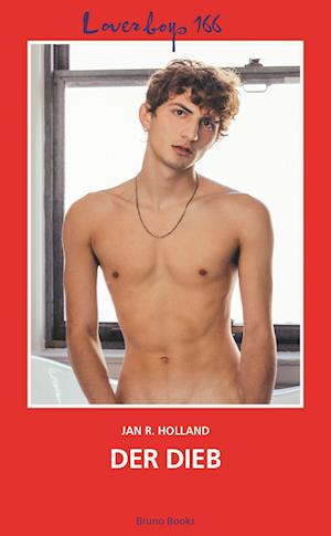 Cover for Jan R. Holland · Loverboys 166: Der Dieb (Taschenbuch) (2021)