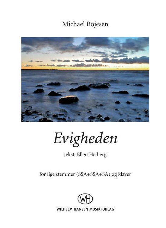 Cover for Michael Bojesen · Evigheden (Book) (2015)