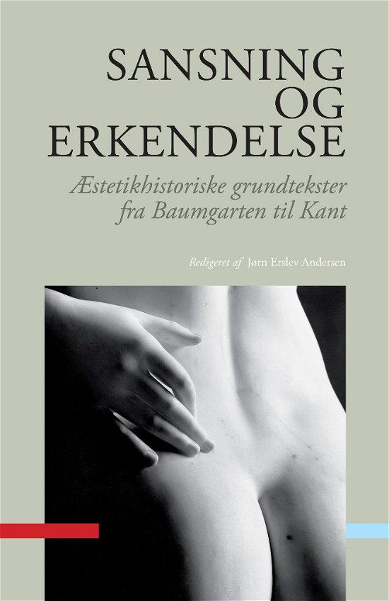 Cover for Erslev Andersen Jørn · Sansning og erkendelse (Heftet bok) [1. utgave] (2012)