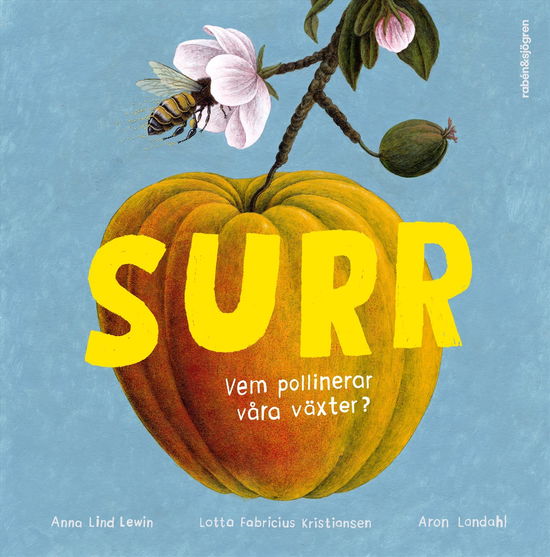 Cover for Lotta Fabricius Kristiansen Anna Lind Lewin · Surr : vem pollinerar våra växter? (Hardcover Book) (2024)