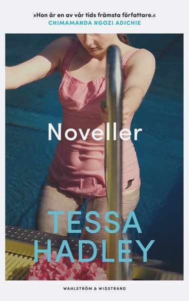 Cover for Tessa Hadley · Noveller (Hardcover Book) (2021)