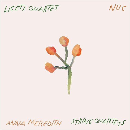 Cover for Anna Meredith · Nuc (String Quartets) (LP) (2023)