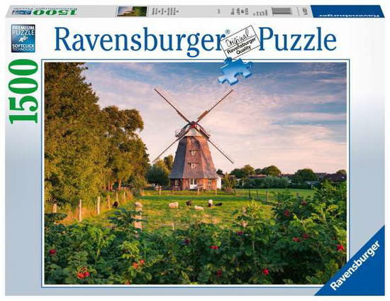 Cover for Ravensburger · Ravensburger - Puzzle 1500 - Windmill on the Baltic Sea (10216223) (Jigsaw Puzzle) (2019)