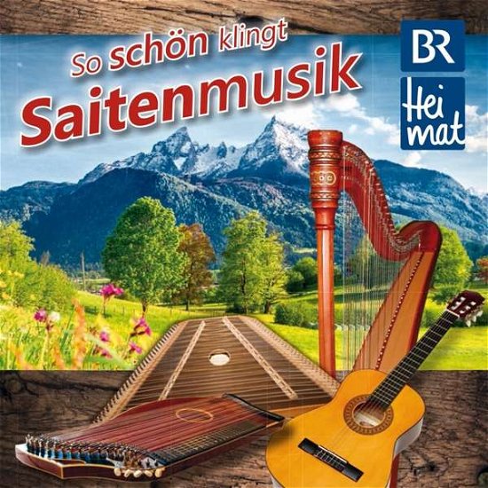 Cover for Br Heimat Diverse Interpreten · Br Heimat-so Schön Klingt Saitenmusik (CD) (2020)