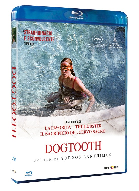 Cover for Christos Stergioglou Angeliki Papoulia · Dogtooth (Blu-ray) (2020)