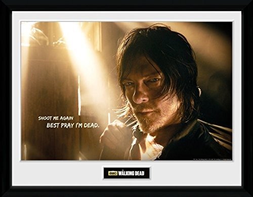 Cover for Walking Dead (The) · Walking Dead (The): Daryl Light (Stampa In Cornice 30x40cm) (MERCH)