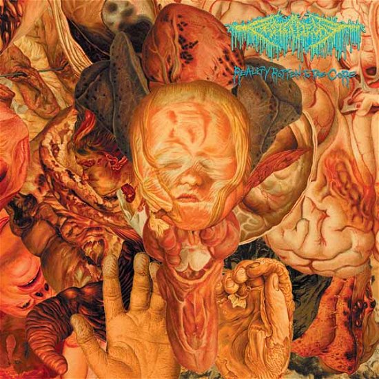 Festerdecay · Reality Rotten To The Core (CD) (2024)