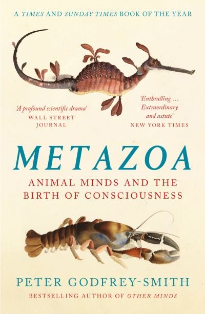 Cover for Peter Godfrey-Smith · Metazoa: Animal Minds and the Birth of Consciousness (Taschenbuch) (2021)