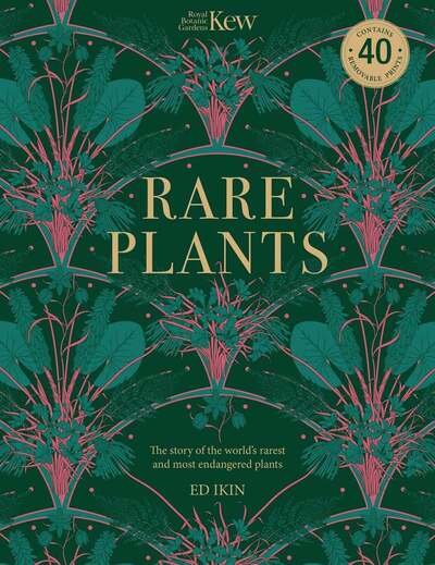Cover for Ed Ikin · Kew - Rare Plants: Forty of the world's rarest and most endangered plants (Pocketbok) (2020)