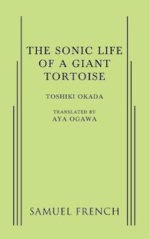 Cover for Toshiki Okada · A Sonic Life of a Giant Tortoise (Paperback Book) (2015)