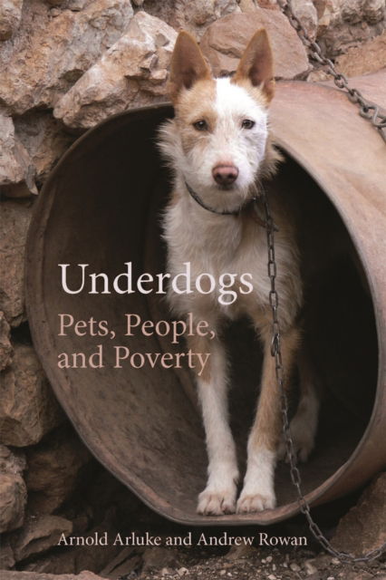 Cover for Arnold Arluke · Underdogs: Pets, People, and Poverty - Animal Voices / Animal Worlds (Hardcover Book) (2020)