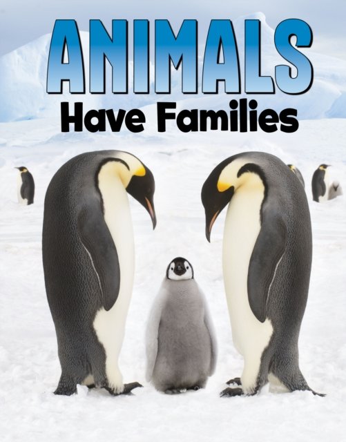 Cover for Nadia Ali · Animals Have Families - Animal Societies (Hardcover Book) (2023)
