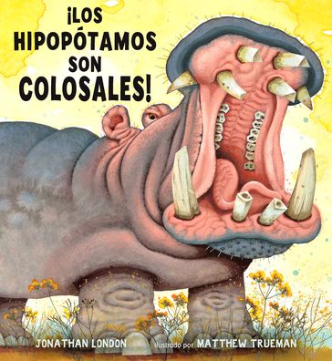 Cover for Jonathan London · !los Hipopotamos Son Colosales! (Paperback Book) (2019)