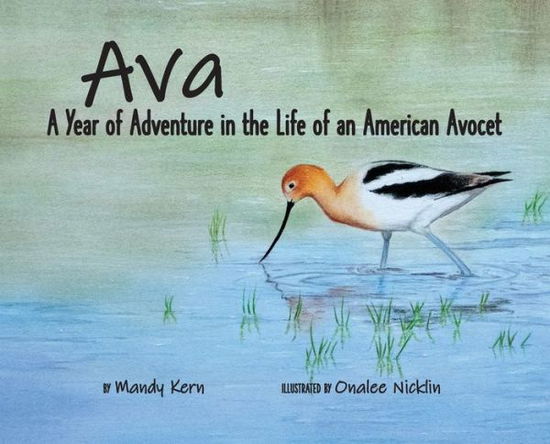 Ava - Mandy Kern - Książki - Meadowlark - 9781736223239 - 19 czerwca 2021