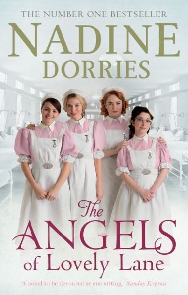 Cover for Nadine Dorries · The Angels of Lovely Lane - Lovely Lane (Pocketbok) [UK Airports edition] (2016)