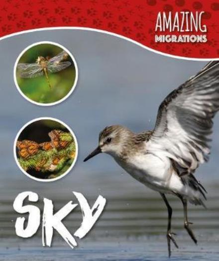 Cover for Harriet Brundle · Sky - Amazing Migrations (Hardcover Book) (2017)