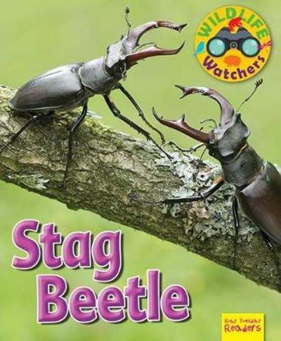 Wildlife Watchers: Stag Beetle - Ruby Tuesday Readers - Ruth Owen - Książki - Ruby Tuesday Books Ltd - 9781911341239 - 30 kwietnia 2017