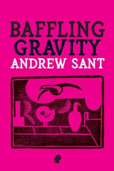 Cover for Andrew Sant · Baffling Gravity (Paperback Book) (2019)