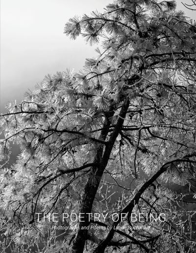 Cover for The Poetry of Being: Photographs and Haikus (Hardcover Book) (2023)