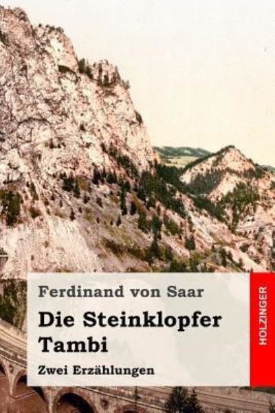 Cover for Ferdinand von Saar · Die Steinklopfer / Tambi (Paperback Book) (2017)