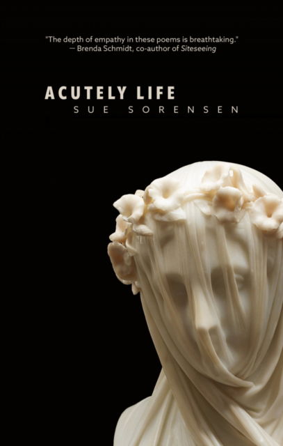 Cover for Sue Sorensen · Acutely Life (Paperback Book) (2024)