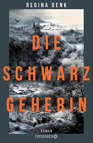 Cover for Regina Denk · Die Schwarzgeherin (Book) (2024)