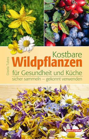 Kostbare Wildpflanzen für Gesundheit und Küche - Gisela Tubes - Książki - Quelle & Meyer - 9783494019239 - 25 listopada 2022