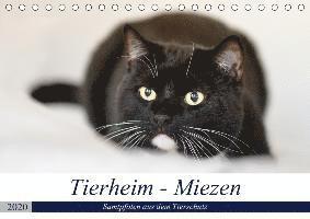 Tierheim - Miezen (Tischkale - Metternich - Books -  - 9783670721239 - 