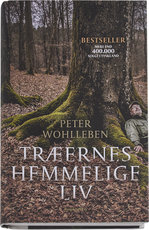 Cover for Peter Wohlleben · Træernes hemmelige liv (Indbundet Bog) [1. udgave] (2016)