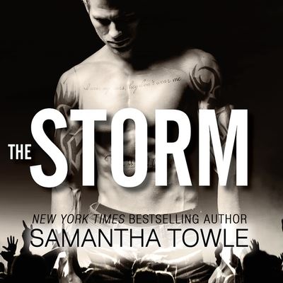 Cover for Samantha Towle · The Storm Lib/E (CD) (2016)