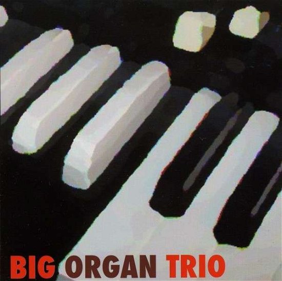 Big Organ Trio - Big Organ Trio - Music - CD Baby - 0634479173240 - September 17, 2012
