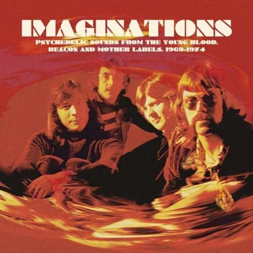 Cover for Imaginations (CD) (2014)