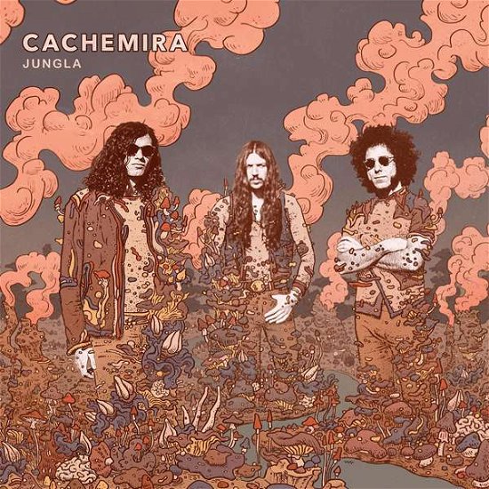 Cover for Cachemira · Jungla (CD) (2017)