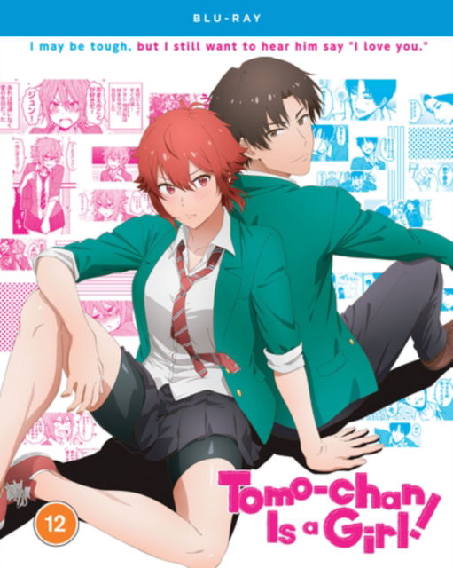 Cover for Hitoshi Nanba · Tomo-Chan Is A Girl! - The Complete Season (Blu-Ray) (2024)