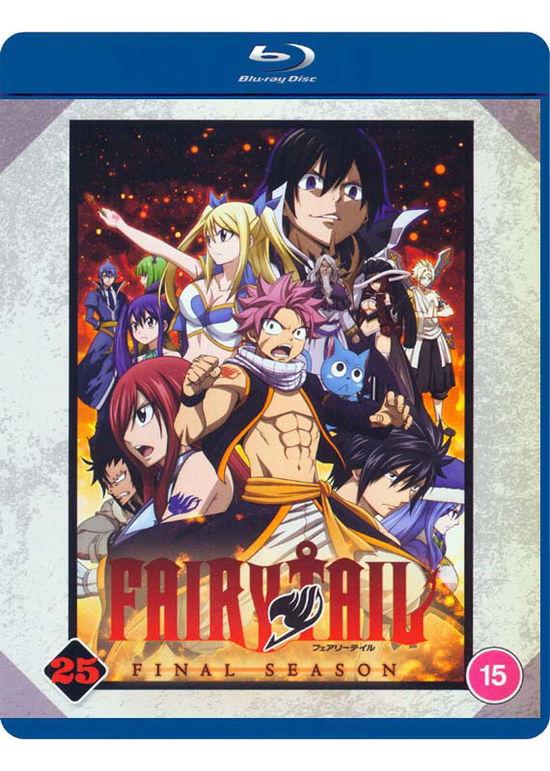 Cover for Fairy Tail · Fairy Tail Part 25 - Final Season (Episodes 304 to 316) (Blu-Ray) (2021)