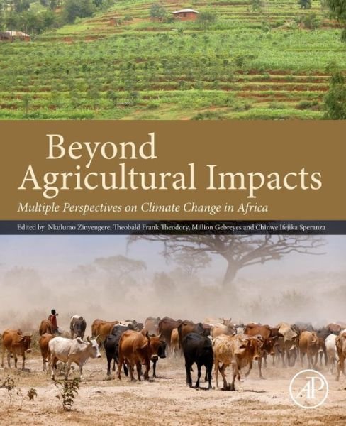 Cover for Nkulumo Zinyengere · Beyond Agricultural Impacts: Multiple Perspectives on Climate Change and Agriculture in Africa (Paperback Book) (2017)