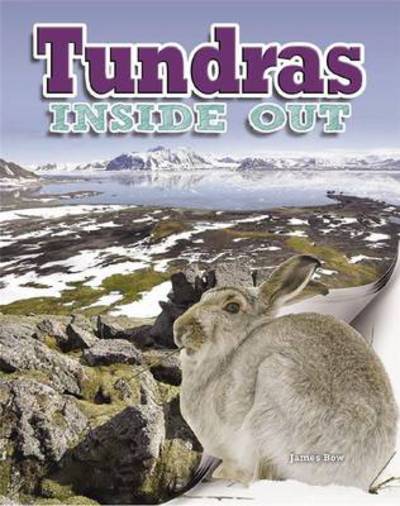 Tundras - Ecosystems Inside Out - James Bow - Kirjat - Crabtree Publishing Co,US - 9780778707240 - perjantai 19. syyskuuta 2014