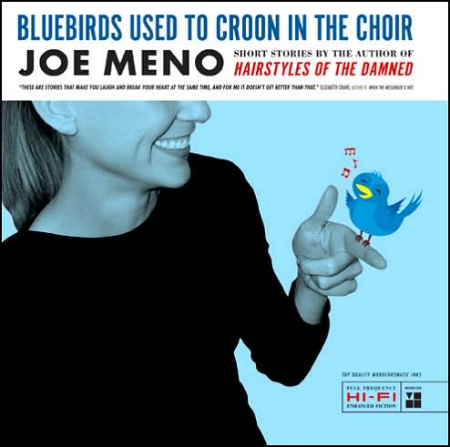 Cover for Joe Meno · Bluebirds Used to Croon in the Choir (Paperback Book) (2007)