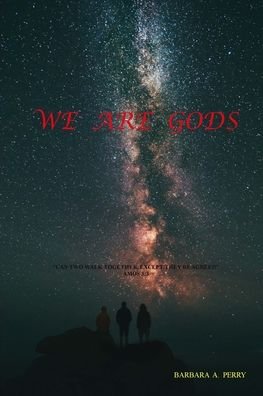 Cover for Barbara Perry · We Are Gods (Paperback Book) (2020)