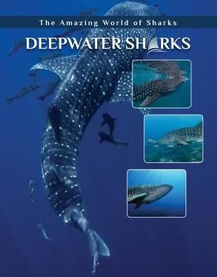 Cover for Joyce A Hull · Deepwater Sharks - Amazing World of Sharks (Hardcover Book) (2018)