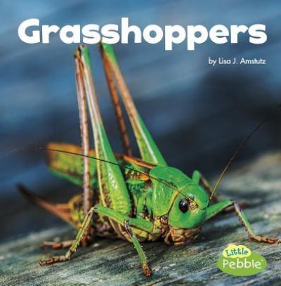 Cover for Lisa J. Amstutz · Grasshoppers (Book) (2017)