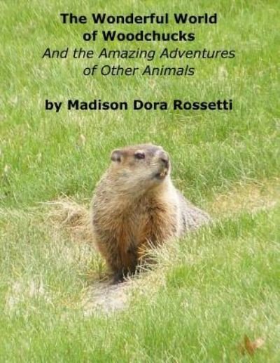 The Wonderful World of Woodchucks - Madison Dora Rossetti - Kirjat - Createspace Independent Publishing Platf - 9781535396240 - keskiviikko 20. heinäkuuta 2016