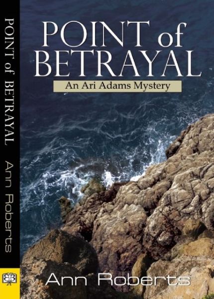 Cover for Ann Roberts · Point of Betrayal (Paperback Book) (2013)