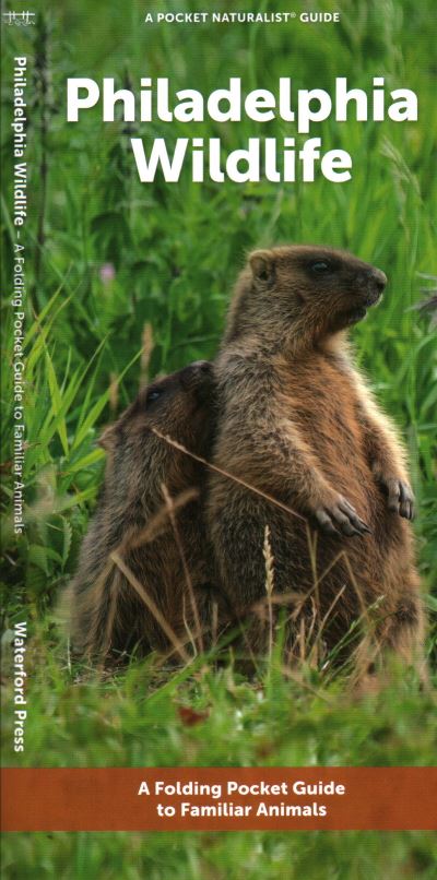 Cover for Waterford Press · Philadelphia Wildlife: A Folding Pocket Guide to Familiar Animals (Pamphlet) (2023)