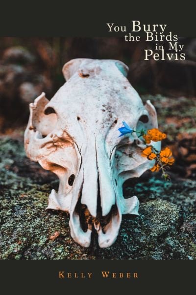 Cover for Kelly Weber · You Bury the Birds in My Pelvis (Paperback Book) (2023)