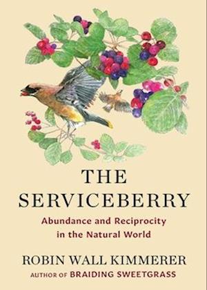 Cover for Robin Wall Kimmerer · The Serviceberry: Abundance and Reciprocity in the Natural World (Hardcover Book) (2024)